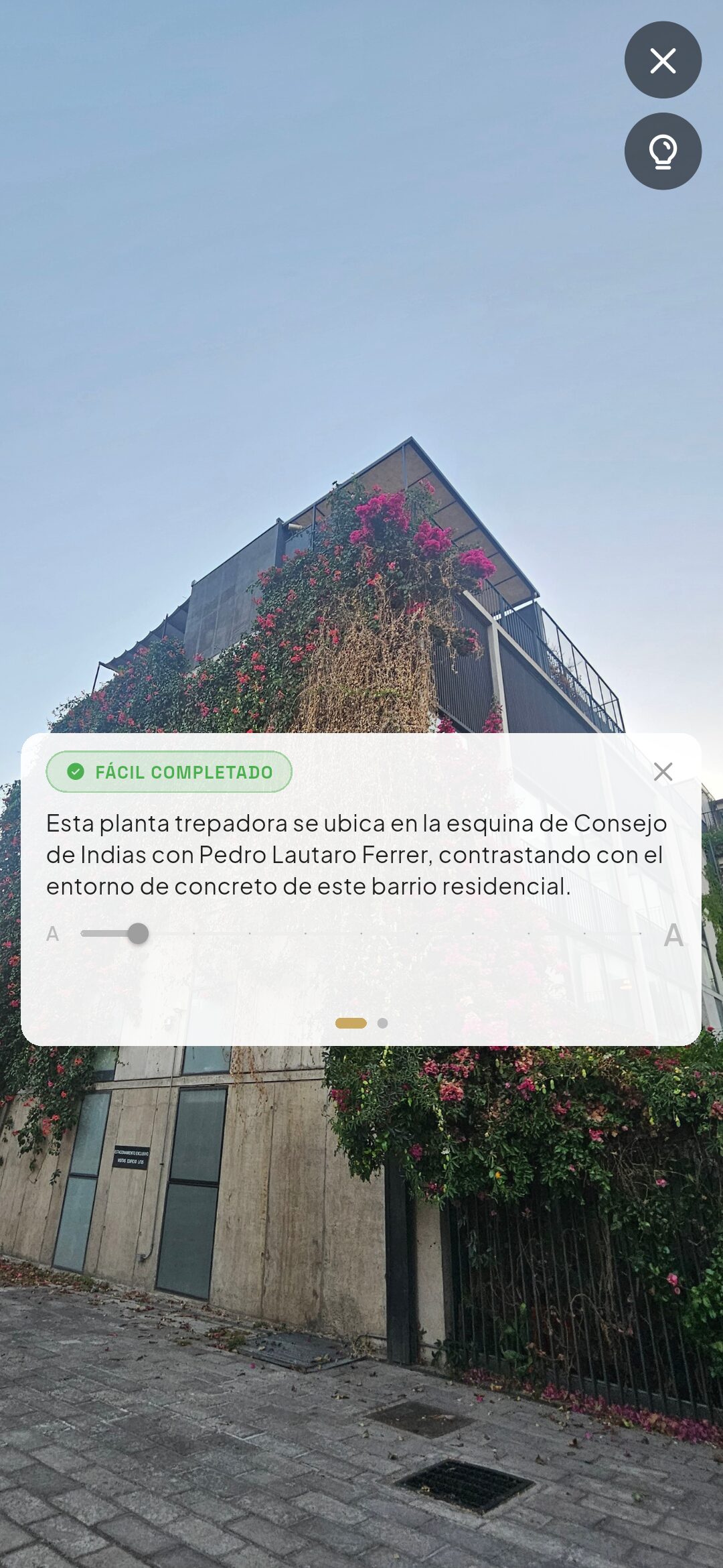 Ver completados — la foto de Bugambilia a pantalla completa con su dato cultural centrado