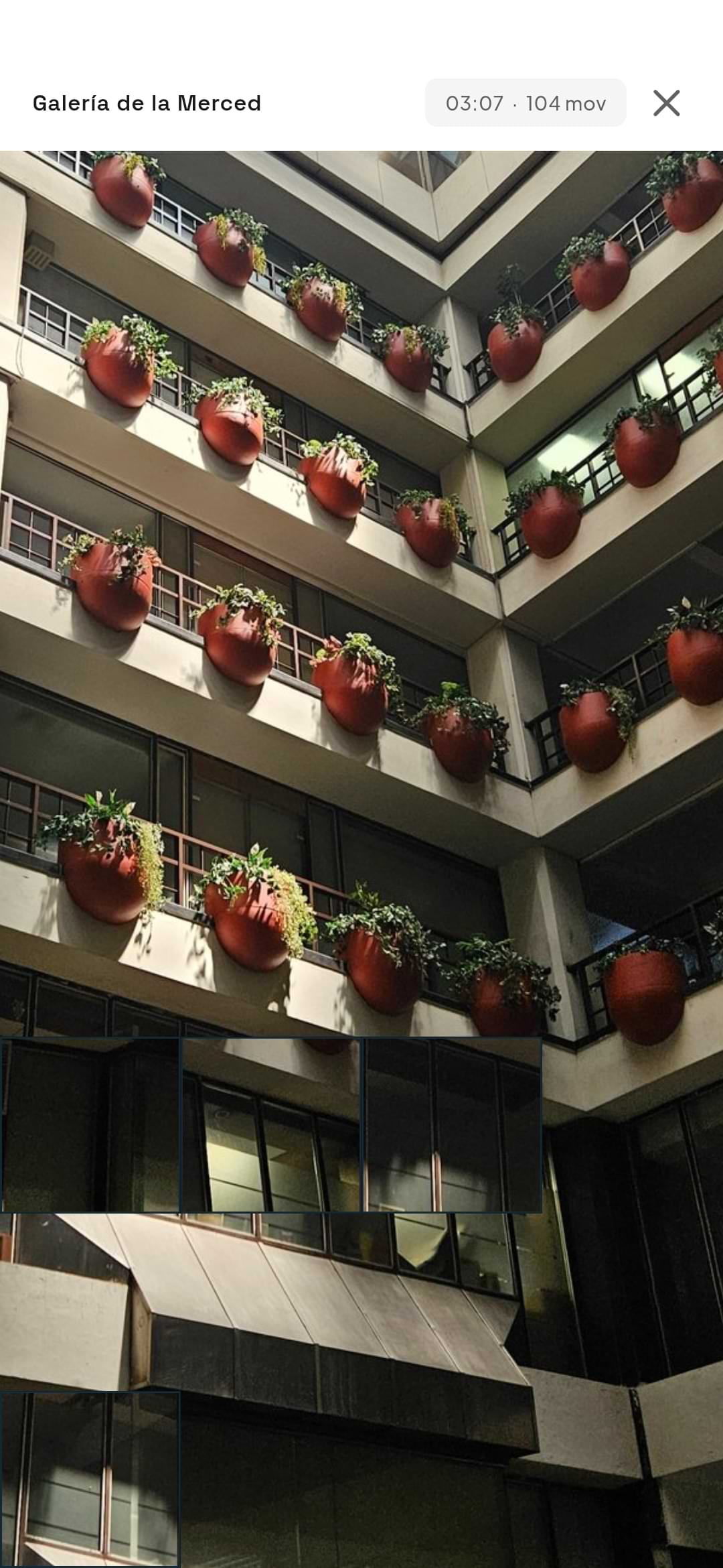 Active puzzle of Galeria de la Merced showing a building with red strawberry planters, timer at 3:07 and 104 moves